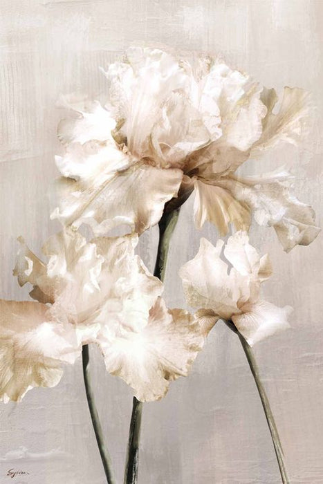 Floral Stem Wall Art Natural - WALL113
