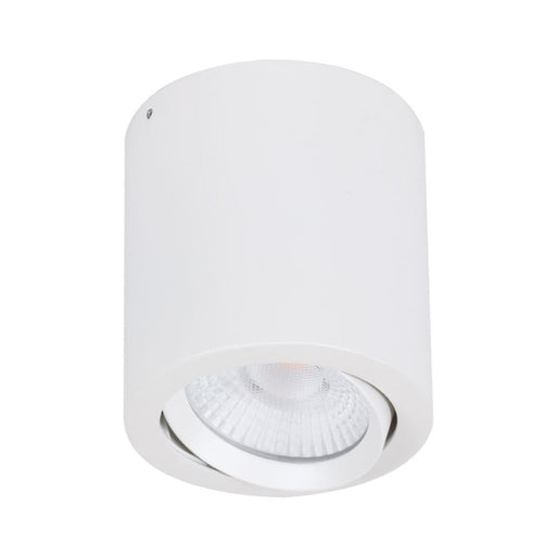 Buy Surface Mounted Downlights Australia Neo Surface Mounted Downlight 20W White Aluminium 3CCT - 21297