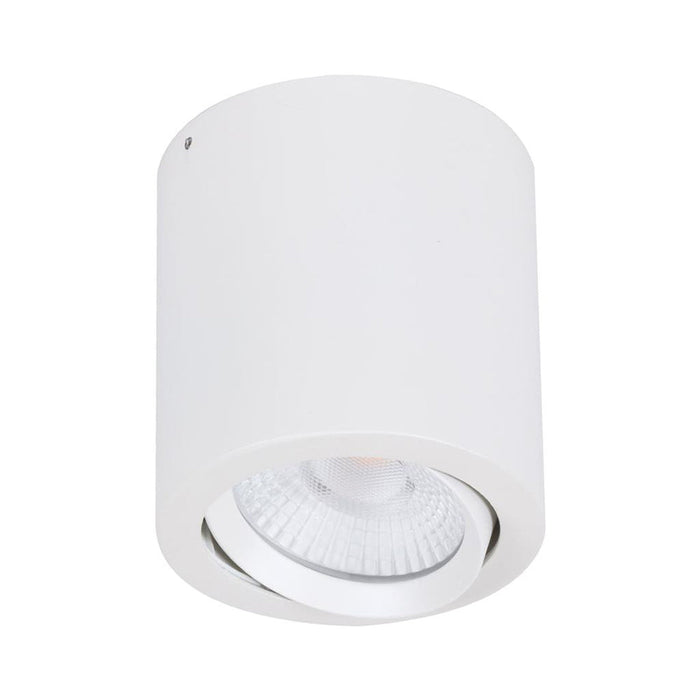 Buy Surface Mounted Downlights Australia Neo Surface Mounted Tilt Downlight 20W White Aluminium 3000K - 21151