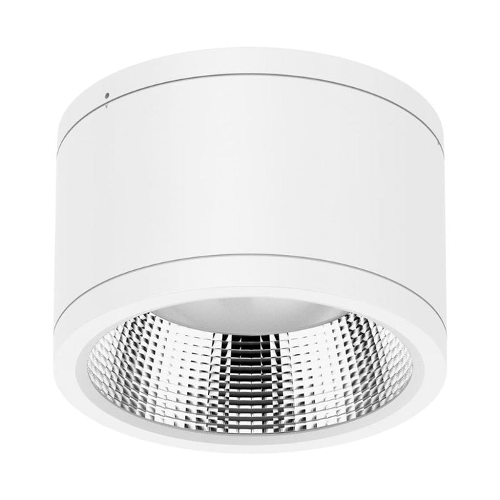 Buy Surface Mounted Downlights Australia Neo-Pro Surface Mounted Downlight 35W White Aluminium 3CCT - 20895
