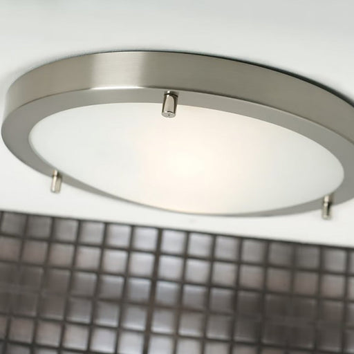 Buy Oyster Lights Australia Ancona Round Oyster 2 Lights Brushed Steel Metal - 25316132