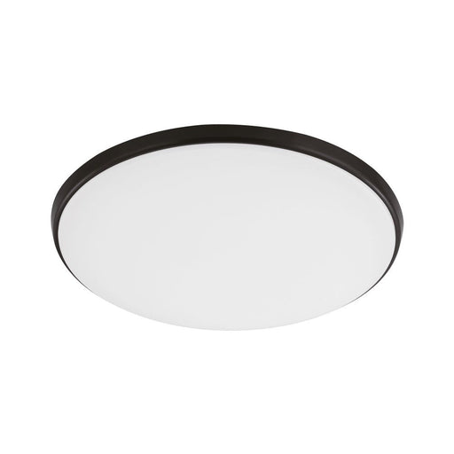 Buy LED Oyster Lights Australia Ollie Oyster Light Black & White 250mm - 203692