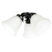Buy Fan Accessories Australia Light Kit For Waikiki AC Fan Matt Black - 20518402