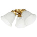 Buy Fan Accessories Australia Light Kit For Waikiki AC Fan Brushed Brass - 20518411