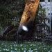 Buy Spike Lights Australia Spot Spike Light Black, Clear - 20789903