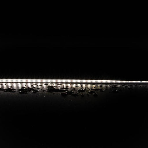 Buy LED Strip Lights Australia Plex Outdoor LED Strip Light 12V 7.2W 5000K - 20335