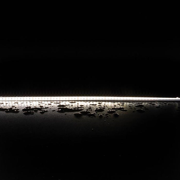 Buy LED Strip Lights Australia Plex Outdoor LED Strip Light 12V 14.4W 5000K - 20339