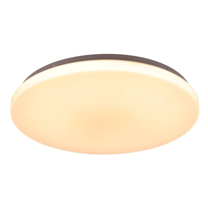 Buy Oyster Lights Australia Diego Oyster 4 Lights White Steel 3 CCT - 205666