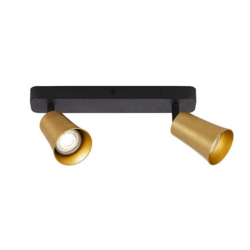 Buy Spotlights Australia Alvey 2 Light Spotlight Black & Gold - ALVEY SP2B-GDBK