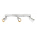 Buy Spotlights Australia Alvey 3 Light Spotlight White ALVEY SP3B-WH