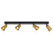 Buy Spotlights Australia Alvey 4 Light Spotlight Black & Gold ALVEY SP4B-GDBK