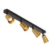 Buy Spotlights Australia Alvey 4 Light Spotlight Black & Gold ALVEY SP4B-GDBK