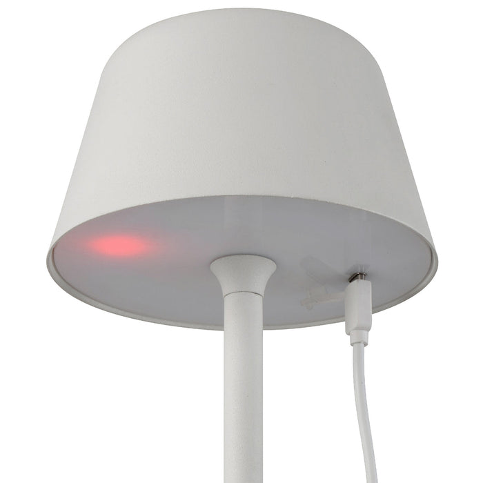 Buy Table Lamps Australia BRIANA Rechargeable Table Lamp Brown 3CCT - BRIANA TL-BRW