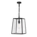 Buy Pendant Lights Australia Cantena 1 Light Large Pendant Black - CANTENA PE25-BK