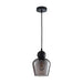 Buy Pendant Lights Australia Interior Black Smoke Ellipse Glass Shape 1 Light Pendant - CHAMPAN2