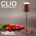 Buy Table Lamps Australia Clio Rechargeable Table Lamp Brown 3000K - CLIO TL-BRW