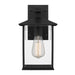 Buy Outdoor Wall Lanterns Australia Coby 1 Light Wall Light 180mm IP44 Black, Clear - COBY EX18-BK