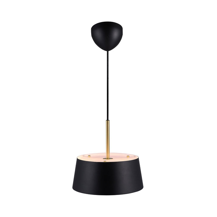 Clasi 300mm Pendant Light Black - 2312603003