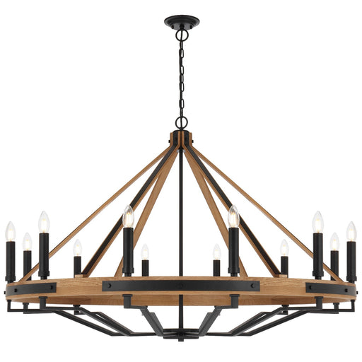 Buy Chandeliers Australia DARIEN Pendant 12 Lights Ash & Black Matt - DARIEN PE12-ASH