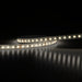 Buy LED Strip Lights Australia FLH2420 24V 20W Dimmable Flexi LED Strip Light 5 Meter 4000K IP20