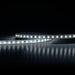 Buy LED Strip Lights Australia FLH2420 24V 20W Dimmable Flexi LED Strip Light 5 Meter 6000K IP20