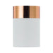 Buy DIY Batten Fix Lights Australia Akira 1 Light Batten Fix 150mm White, Copper - AKIRA BF-WH+CP