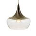 Buy Pendant Lights Australia Landy 1 Light Pendant 300mm Nickel & Clear - LANDY PE30-NKCL