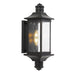 Buy Exterior Wall Lights Australia Leeds 2 Light Wall Light 230mm IP44 Black & Bubble Glass - LEEDS EX-BK