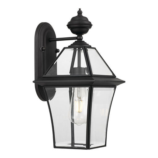Buy Outdoor Wall Lanterns Australia Rye 1 Light Wall Light IP44 Black & Clear - RYE EX20-BK