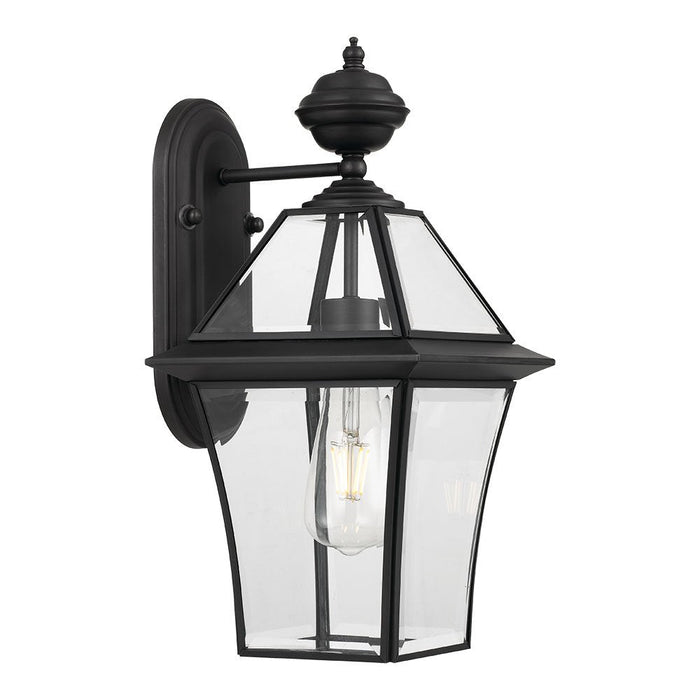 Buy Outdoor Wall Lanterns Australia Rye 1 Light Wall Light IP44 Black & Clear - RYE EX20-BK