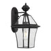 Buy Outdoor Wall Lanterns Australia Rye 1 Light Wall Light IP44 Black & Clear - RYE EX20-BK