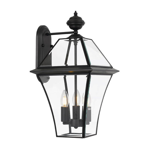 Buy Outdoor Wall Lanterns Australia Rye 3 Light Wall Light IP44 Black & Clear - RYE EX27-BK