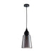 Buy Pendant Lights Australia Interior Ellipse Glass Shape 1 Light Pendant Black Smoke - JEREZ2