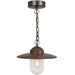Buy Pendant Lights Australia Luxembourg Pendant Light Rusty Metal - 72805009