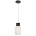 Buy Pendant Lights Australia Nori 14 1 Light Pendant Matt Black & Opal Matt - NORI PE14-BKOM