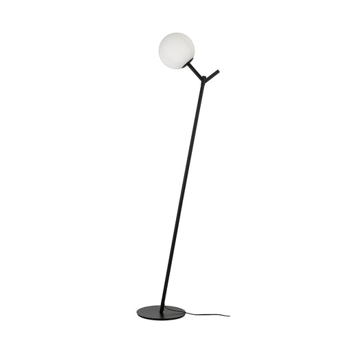 Buy Floor Lamps Australia Ohh 1 Light Floor Lamp Black & Opal Matt - OHH FL-BKOM