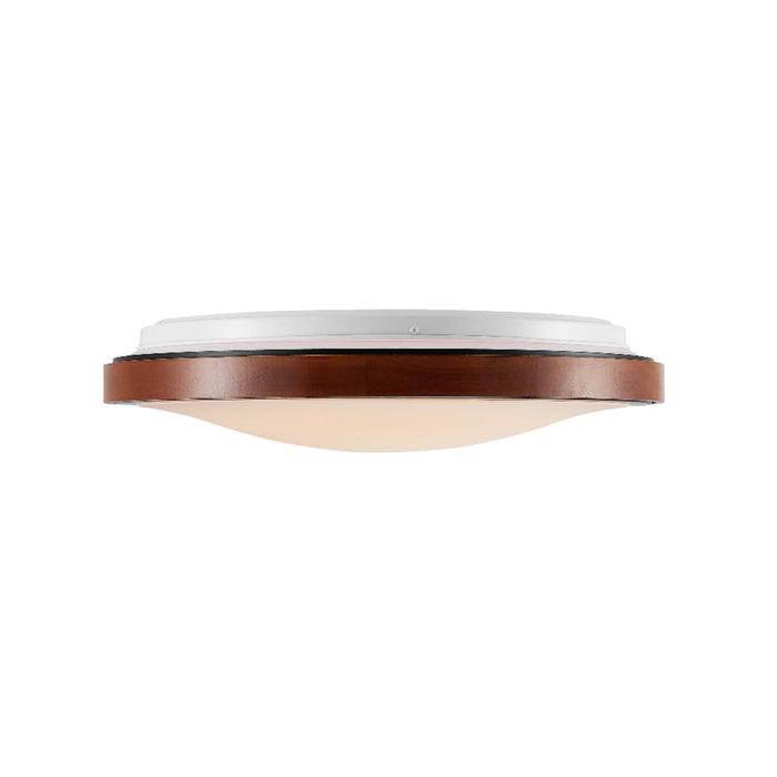 Orlin 300mm LED Oyster 12W TRI Colour Black & Walnut - ORLIN OY30-WD3C