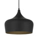 Buy Pendant Lights Australia Polk-30 1 Light Pendant Black Brushed, Black POLK PE30-BKB