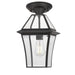 Buy Outdoor Pendant Lights Australia Rye 20 1 Light Pendant Black, Clear RYE PE20-BK