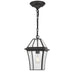 Buy Outdoor Pendant Lights Australia Rye 20 1 Light Pendant Black, Clear RYE PE20-BK
