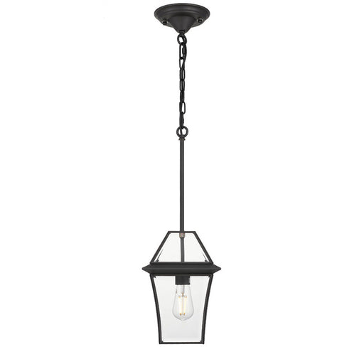 Buy Outdoor Pendant Lights Australia Rye 20 1 Light Pendant Black, Clear RYE PE20-BK