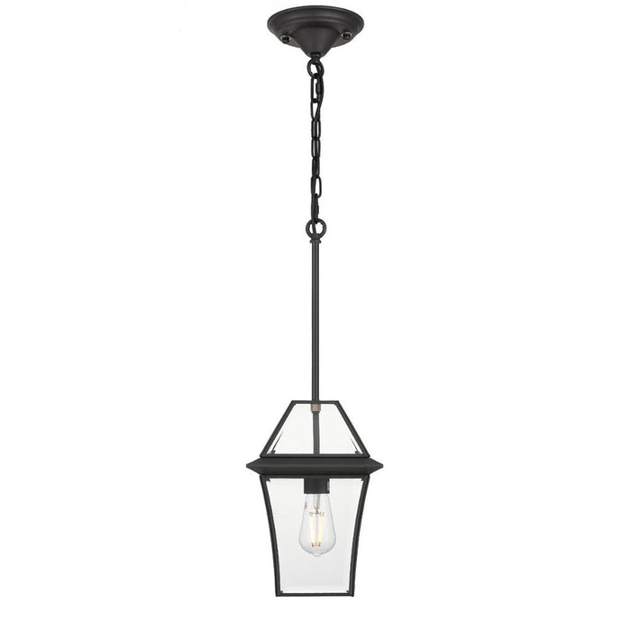Buy Outdoor Pendant Lights Australia Rye 20 1 Light Pendant Black, Clear RYE PE20-BK