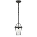 Buy Outdoor Pendant Lights Australia Rye 20 1 Light Pendant Black, Clear RYE PE20-BK