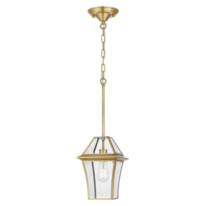 Buy Outdoor Pendant Lights Australia Rye 20 1 Light Pendant Brass, Clear RYE PE20-BRS