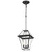 Buy Outdoor Pendant Lights Australia Rye 27 3 Light Pendant Black & Clear - RYE PE27-BK