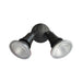 Buy Security Wall Lights Australia SEC Surface Mounted LED PAR30 2 Light Black Security Light IP44 - SEC02