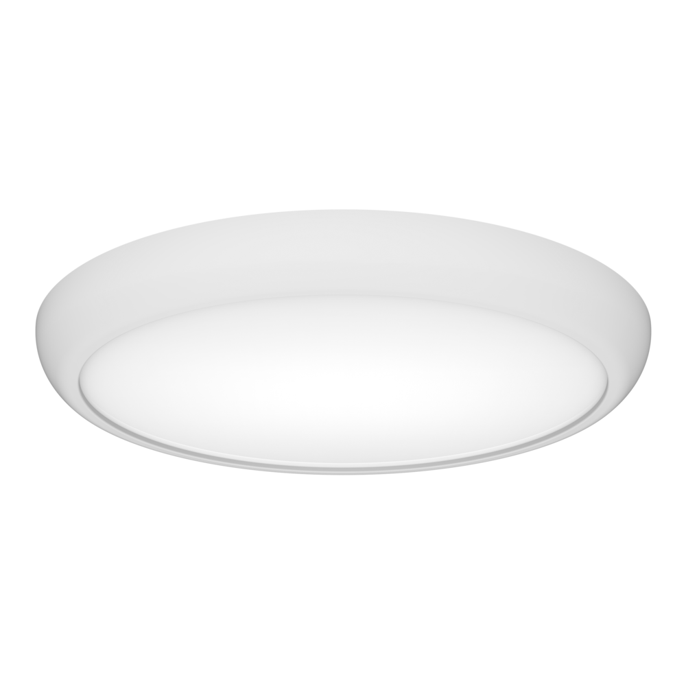 LED Oyster Lights