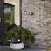Buy Up / Down Wall Lights Australia Canto Up & Down Wall 2 Lights Stainless Steel 3000K - 49701034