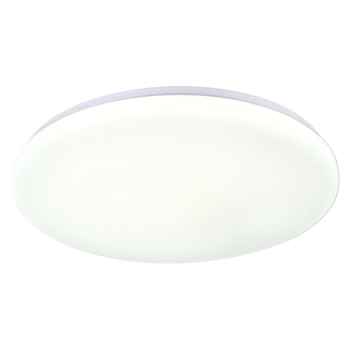Buy Oyster Lights Australia Diego Oyster 4 Lights White Steel 3 CCT - 205666