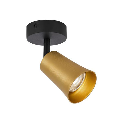Buy Spotlights Australia Alvey Spotlight Black / Gold Brushed Iron - ALVEY SP1-GDBK